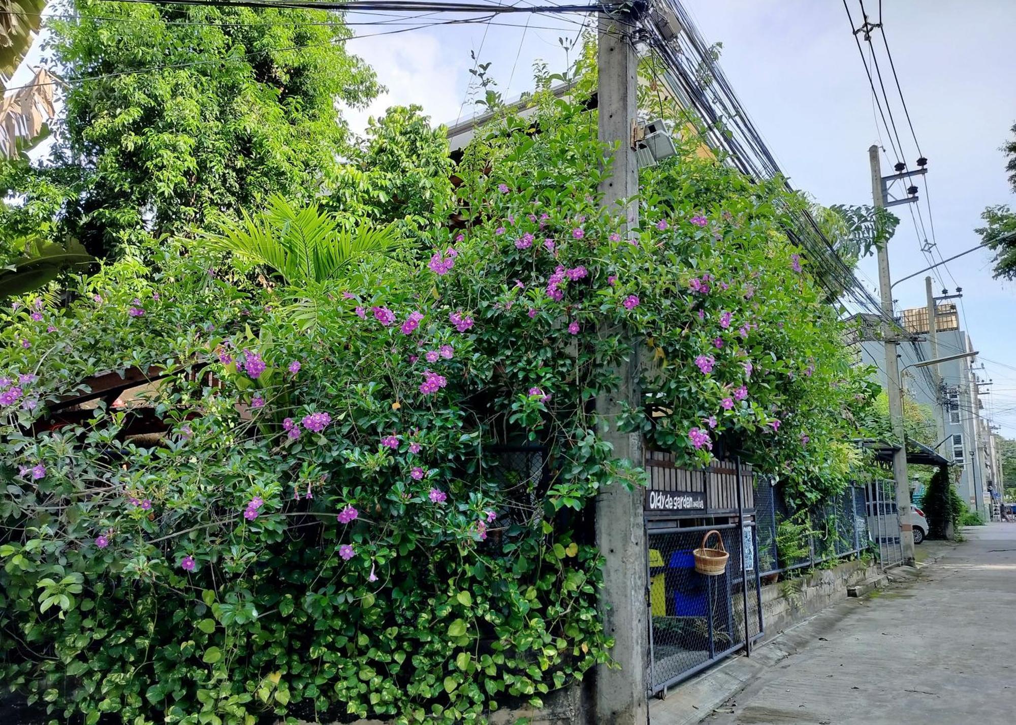 אפרטהוטל צ'יאנג מאי Oldy De Garden מראה חיצוני תמונה