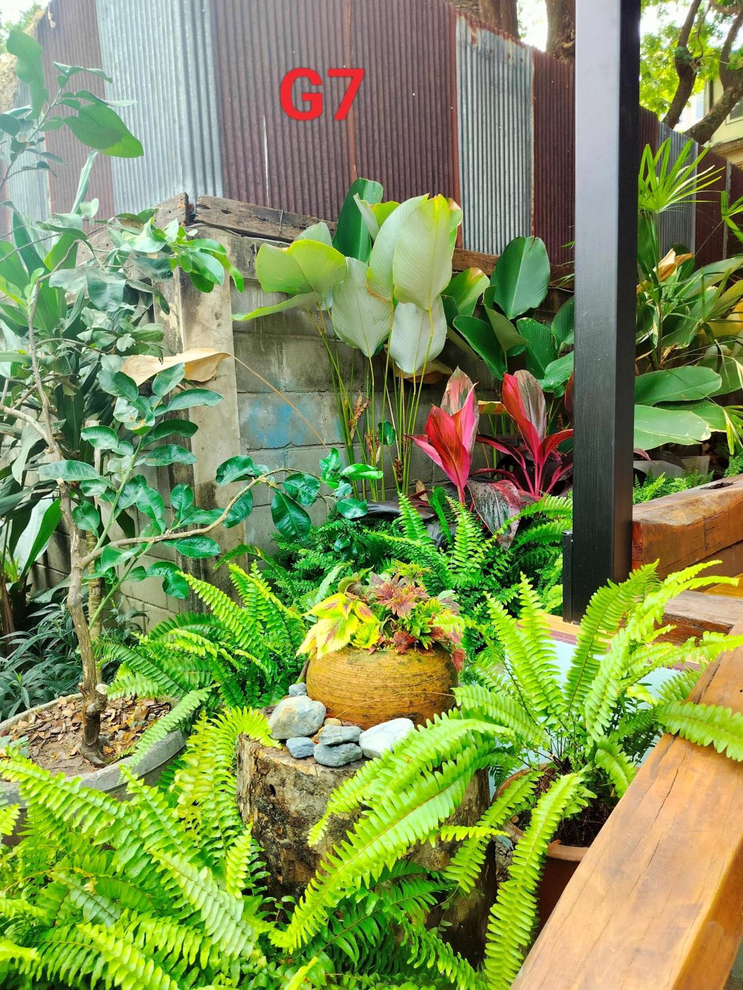 אפרטהוטל צ'יאנג מאי Oldy De Garden מראה חיצוני תמונה